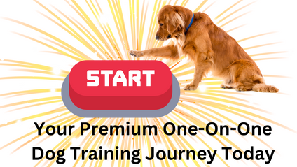 Product image for Premium One-On-One Course