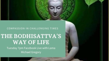 Product image for Course 13: Bodhisattva's Way of Life, Wisdom Chapter