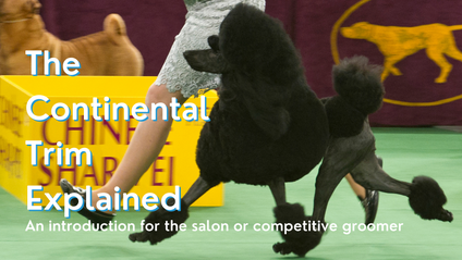 Product image for The Continental Trim Explained