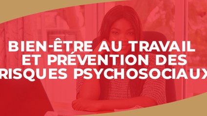 Product image for IGTC01RH  - Bien-être au travail et prévention des risques psychosociaux (FR)