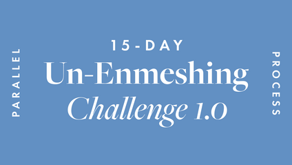 Product image for 15 Day Un-Enmeshing Challenge