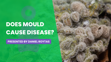Product image for Does Mould Cause Disease?
