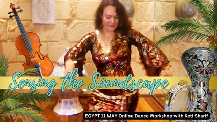 Product image for Sensing the Soundscape