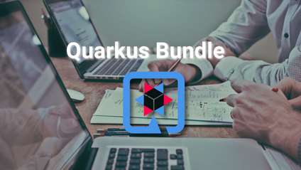 Product image for Quarkus Bundle