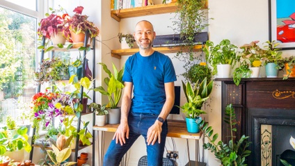 Product image for Houseplant SOS