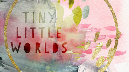 Product image for Tiny Little Worlds