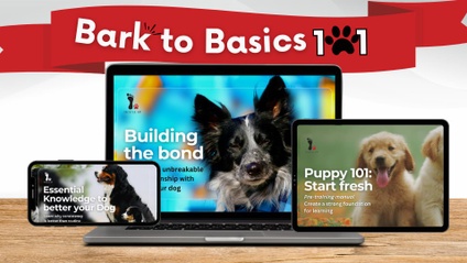 Product image for Bark to Basics 101