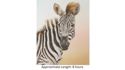 Product image for Zebra in Watercolor