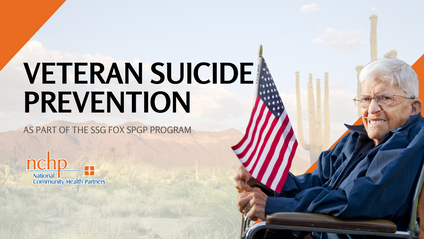 Product image for Veteran Suicide Prevention