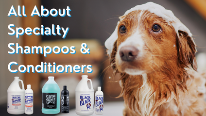 Product image for All About Specialty Shampoos & Conditioners