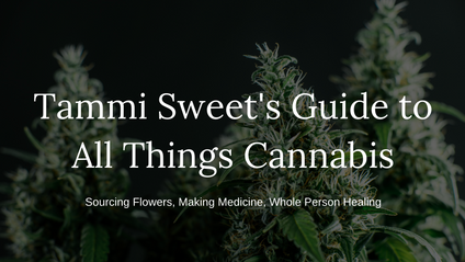 Product image for Tammi Sweet's Guide to All Things Cannabis