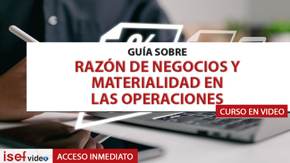 Product image for GUÍA SOBRE RAZÓN DE NEGOCIOS Y MATERIALIDAD EN LAS OPERACIONES 