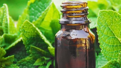 Product image for 5005/5006 Covered Topic Herbs & Oils for the Massage Therapist
