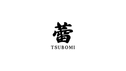 Product image for SAKASERU
