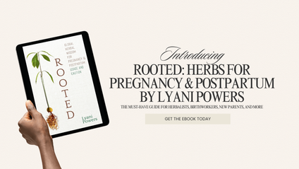 Product image for Rooted: Global Herbal Wisdom For Pregnancy & Postpartum: Usage and Caution