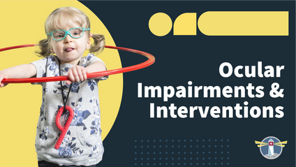 Product image for The Gift of Seeing: Ocular Impairments and Interventions