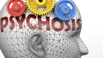 Product image for Mental Health Continuums and Understanding Psychosis