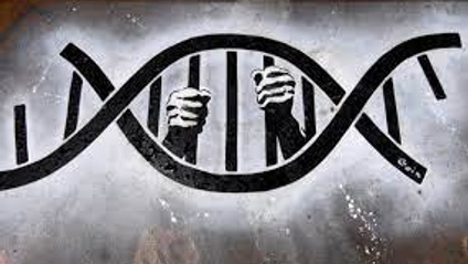 Product image for Theory, Rational and Trajectory of Crime