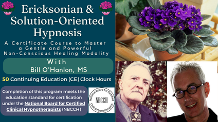 Product image for Ericksonian & Solution-Oriented Hypnosis