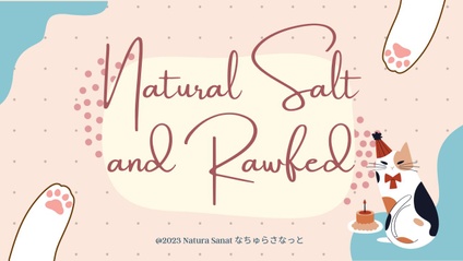 Product image for 猫の自然食と塩のこと