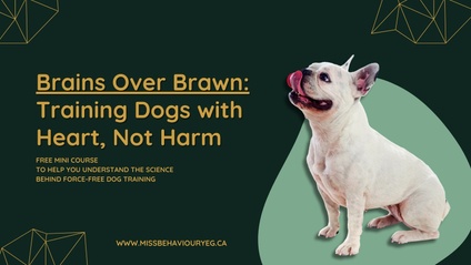 Product image for Brains Over Brawn: Training Dogs with Heart, Not Harm