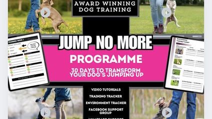 Product image for Jump No More 