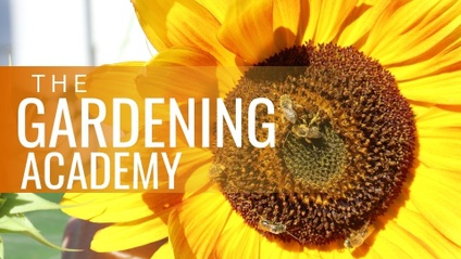 Product image for The Gardening Academy