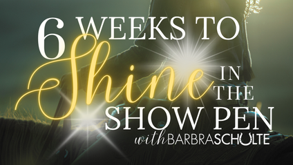 Product image for 6 Weeks to Shine Micro-Course