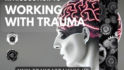 Product image for Introduction to Working with Trauma