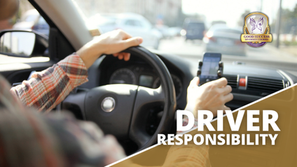 Product image for Driver Responsibility