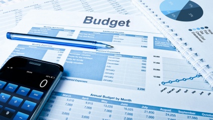 Product image for Business Budgeting Organizer