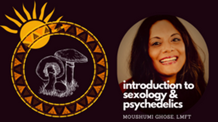 Product image for Psychedelics and Sexology: An Introduction* 