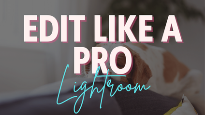 Product image for Edit Like A Pro In Lightroom Classic