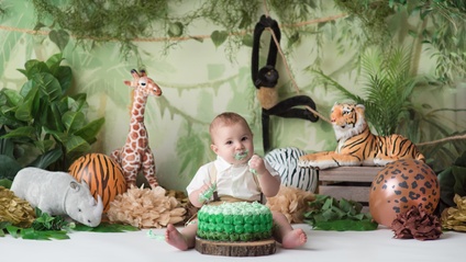 Product image for Jungle Cake Smash/1 Year Portraits