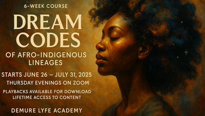 Product image for Dream Codes of Afro Indigenous Lineages