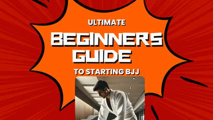 Product image for Beginner Guid To BJJ