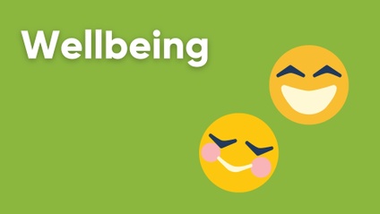 Product image for Theme - Wellbeing - Fifth and Sixth Class