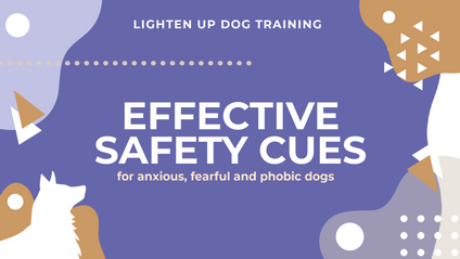 Product image for Effective Safety Cues