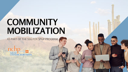 Product image for Community Mobilization