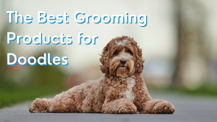 Product image for The Best Grooming Products for Doodles