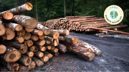 Product image for Deforestation