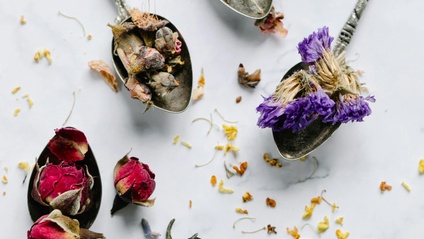 Product image for The Herbalist’s Apothecary: How to Build, Organize, and Stock Your Own