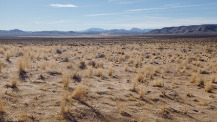Product image for SET: How God uses the Wilderness to Teach His People