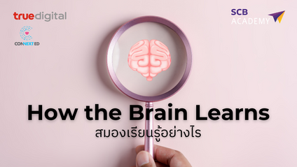 Product image for HOW THE BRAIN LEARN