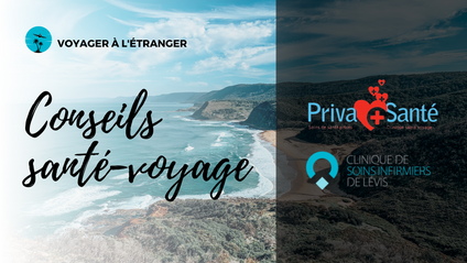 Product image for Conseils santé-voyage