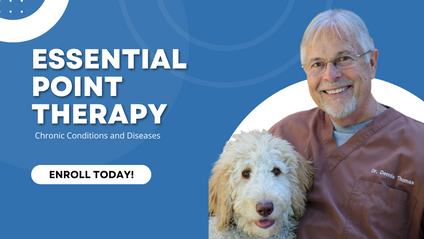 Product image for Essential Point Therapy Chronic Conditions and Diseases