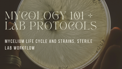 Product image for Mycology 101 & Lab Protocols