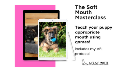 Product image for The Soft Mouth Masterclass for Puppies