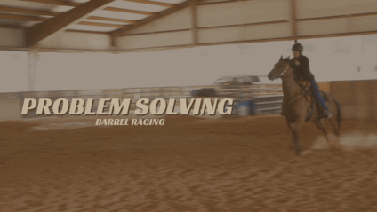 Product image for Problem Solving