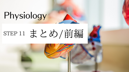Product image for まとめ/前編